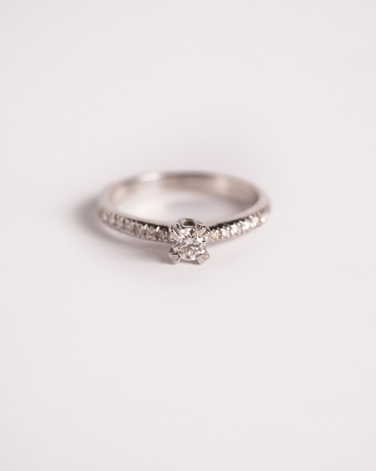 Anello solitario con brillanti nel gambo in oro bianco 750, still life su fondo chiaro, Gioielleria La Rosa